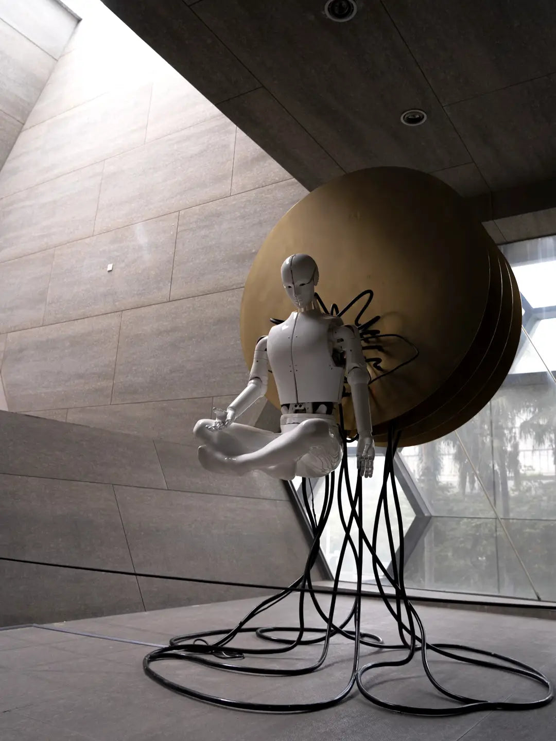 Hangzhou robot