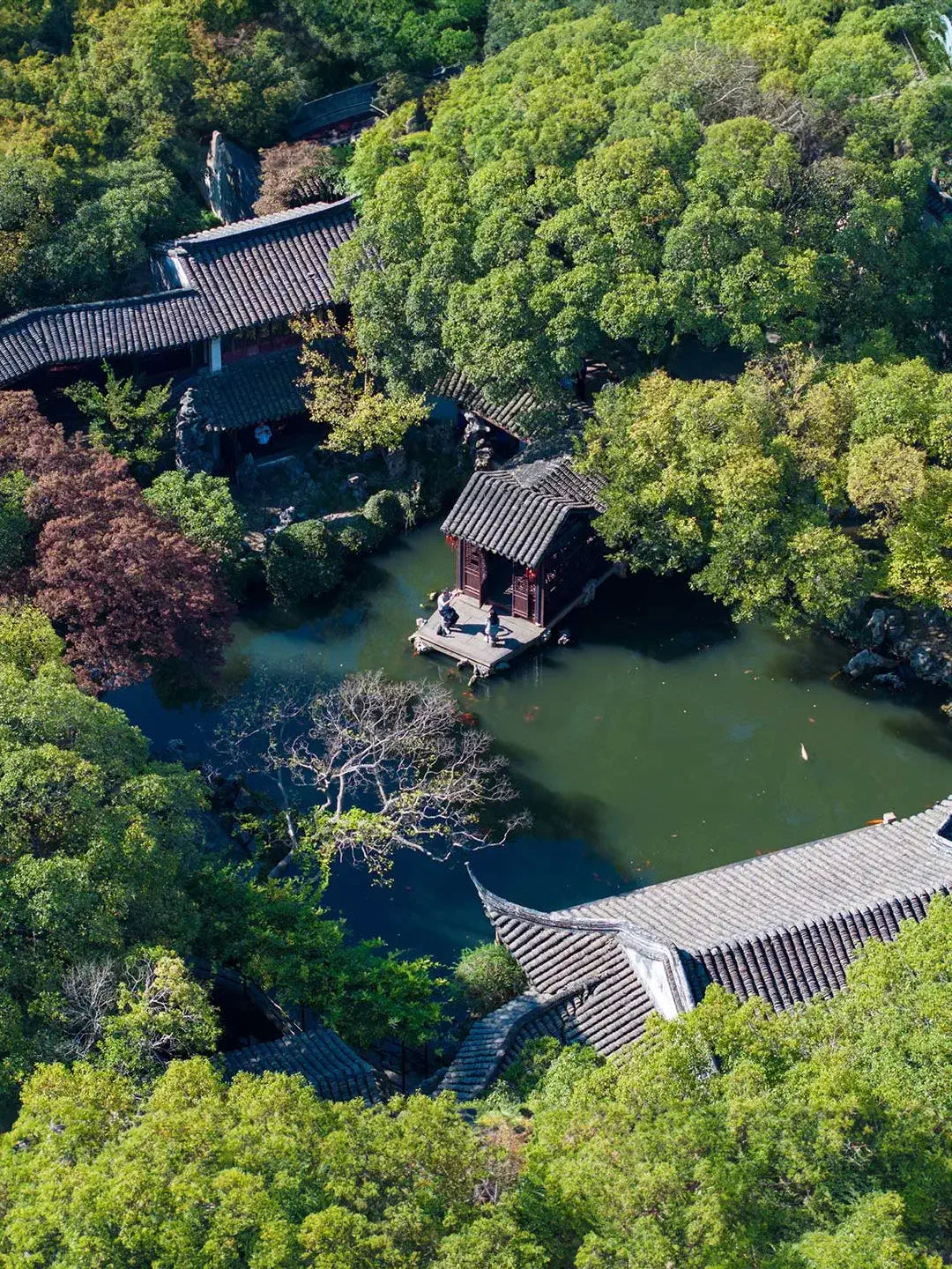 Tongli Tuisi Garden daytime pavilions and water feature