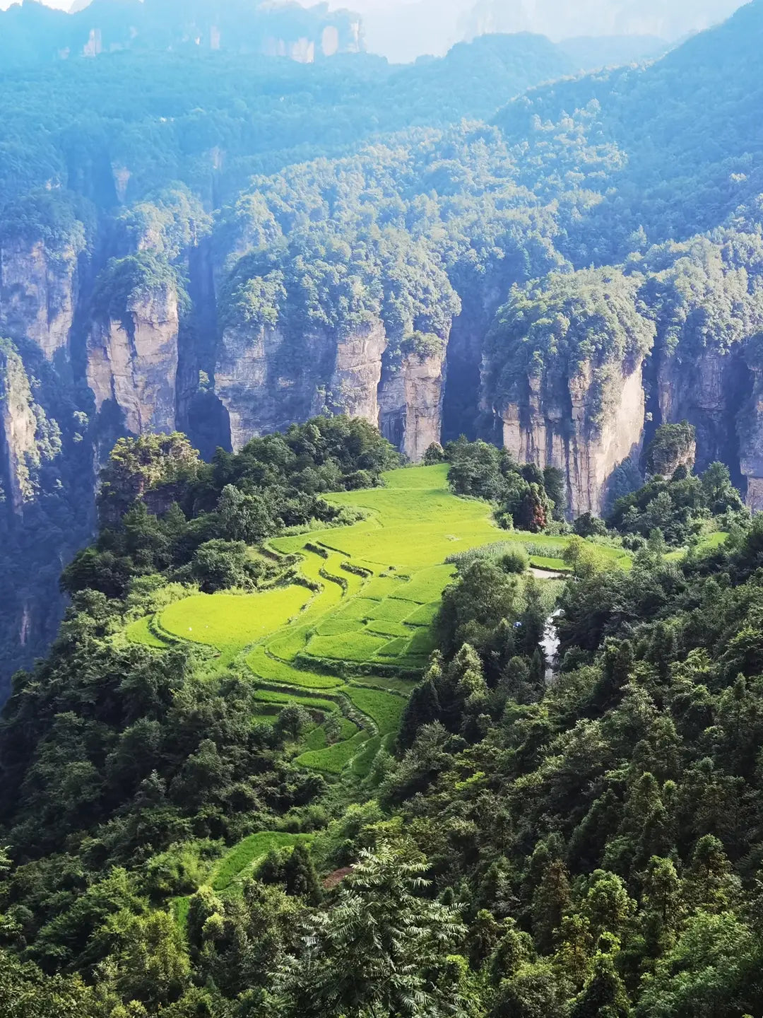 How to Travel from Shanghai to Zhangjiajie