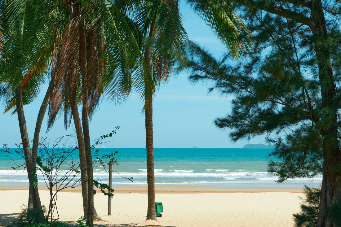 Sanya Travel Guide 2026: Best Beaches, Attractions, Itinerary &Travel Tips
