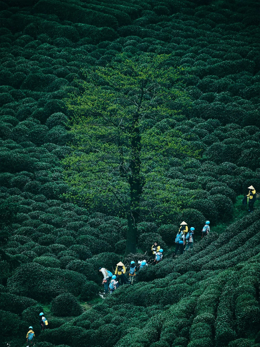 Travel to Hangzhou