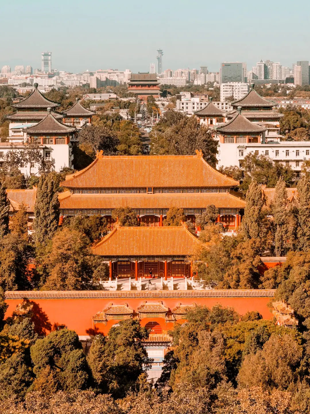 Forbidden City in autumn leaves