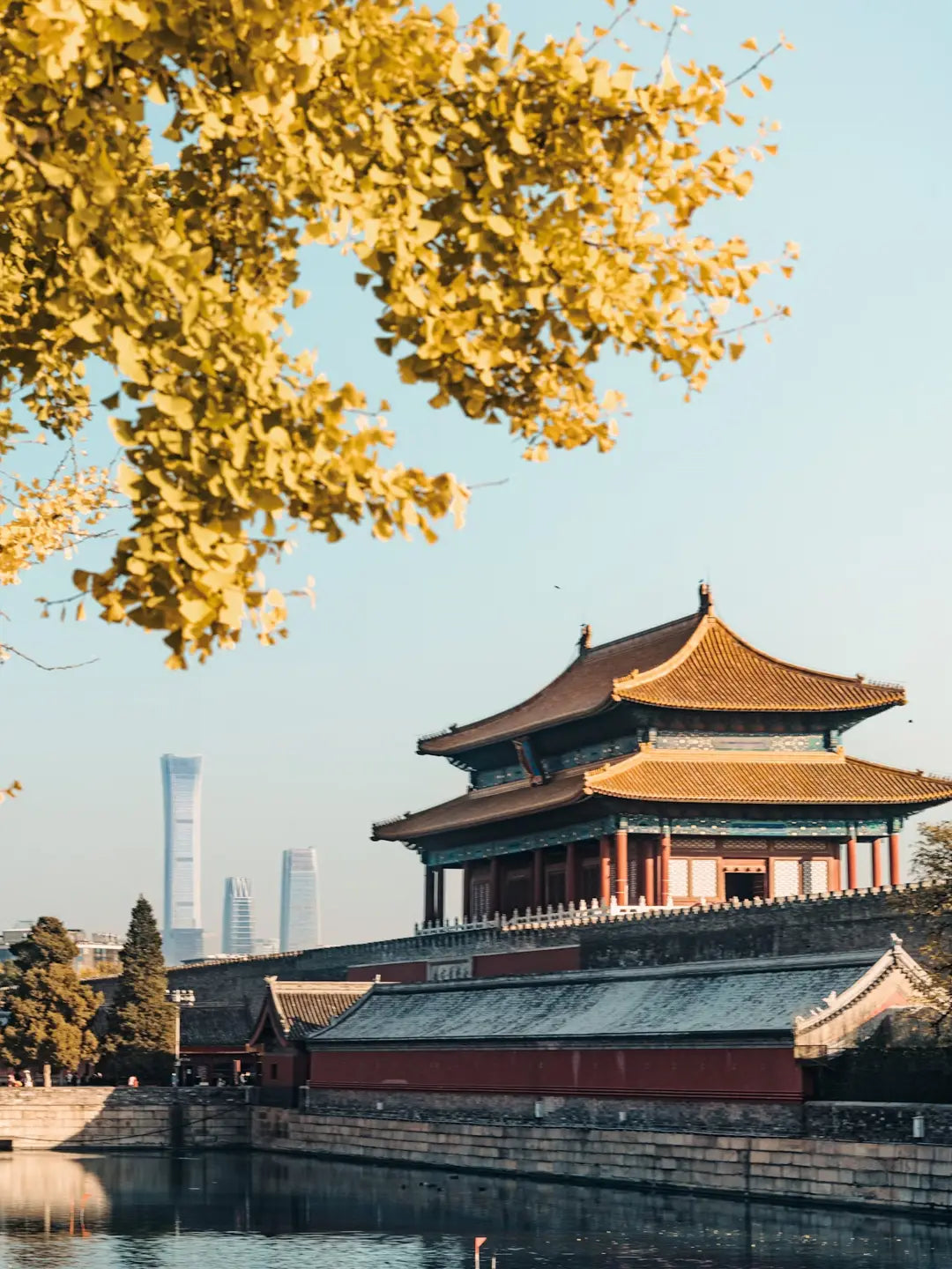 Forbidden City maple leaves autumn