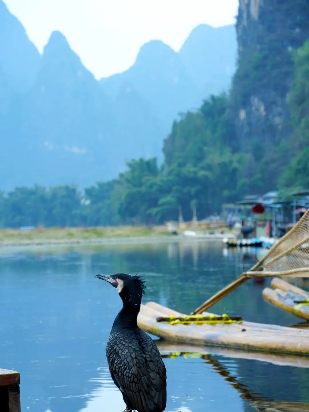 Guilin bamboo raft on Li River