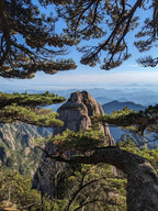 Huangshan pines, rocks and sky