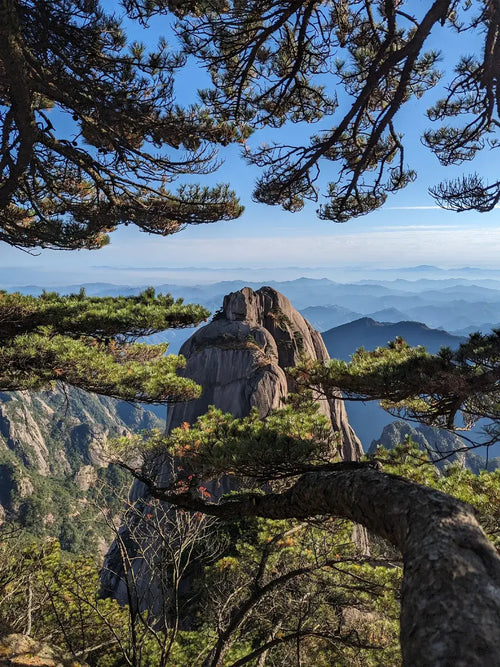 Huangshan pines, rocks and sky