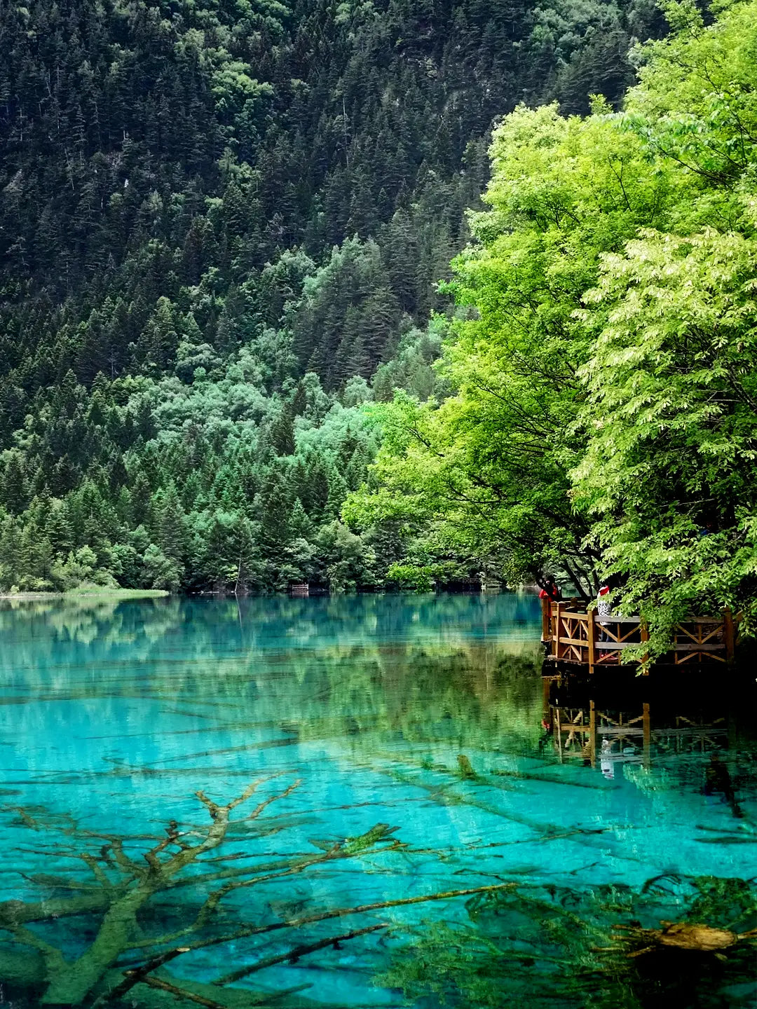 7-Day Chengdu & Jiuzhaigou Fairyland Tour
