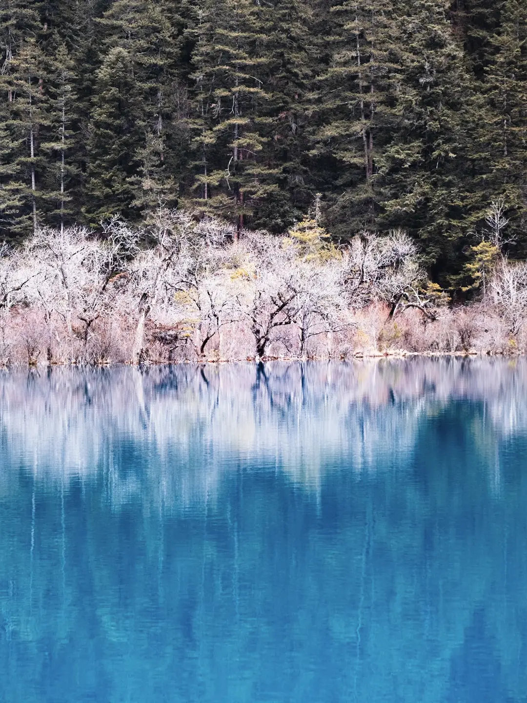 Jiuzhaigou winter ice waterfall landscape