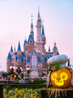 9-Day Family-Friendly China Tour