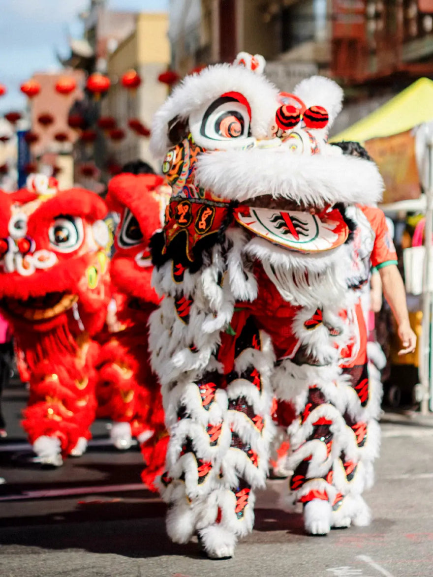 Spring Festival lion dance performance
