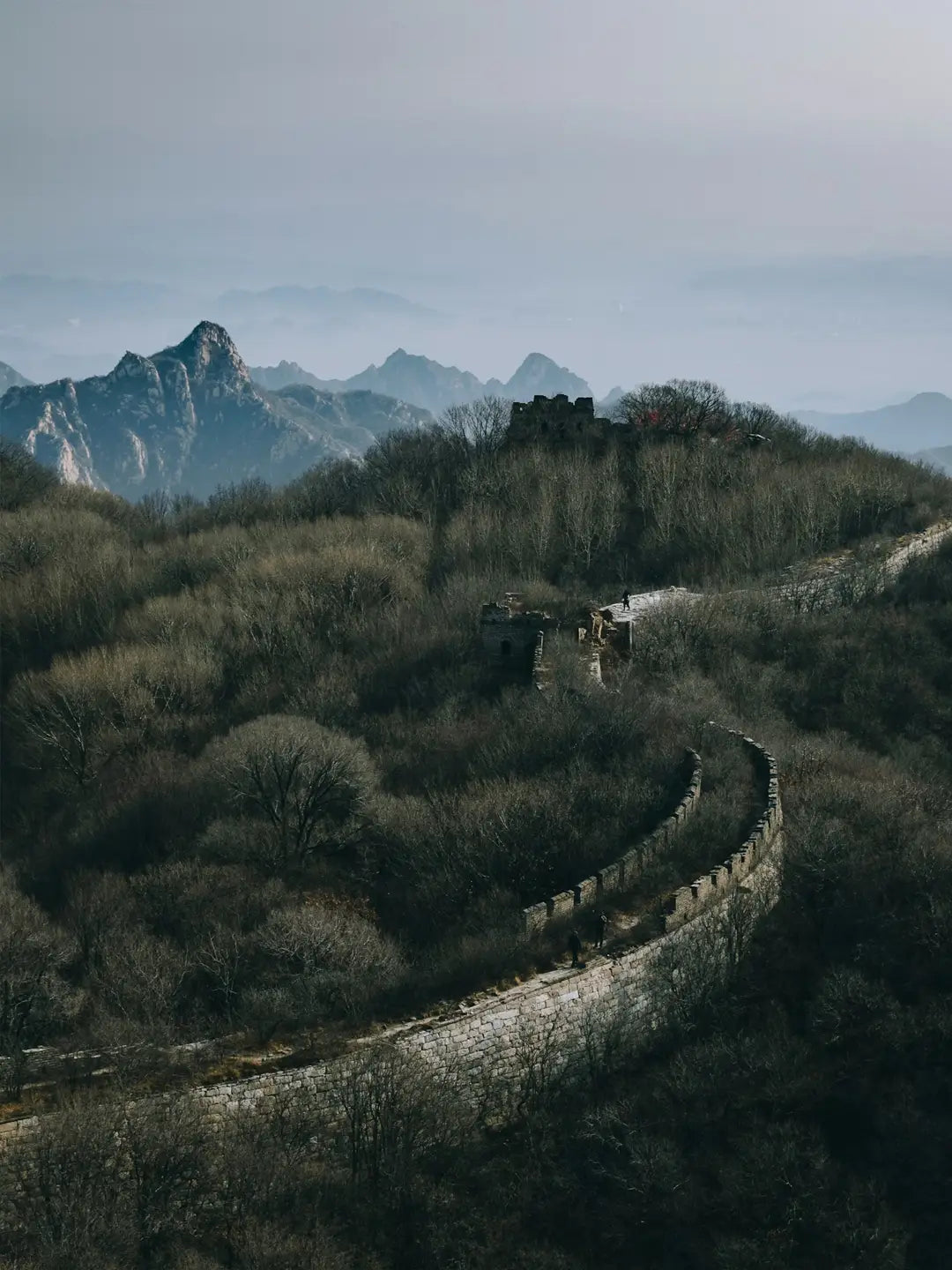 8-Day Private China Tour: Beijing, Xi'an & Shanghai
