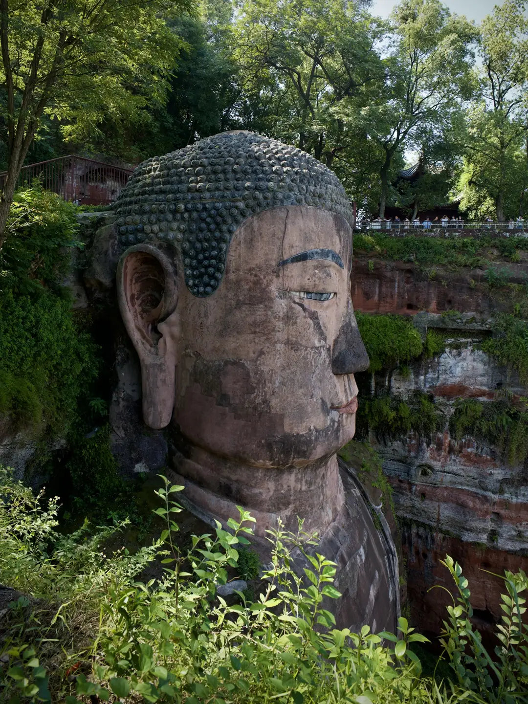 7-Day Chengdu & Jiuzhaigou Fairyland Tour