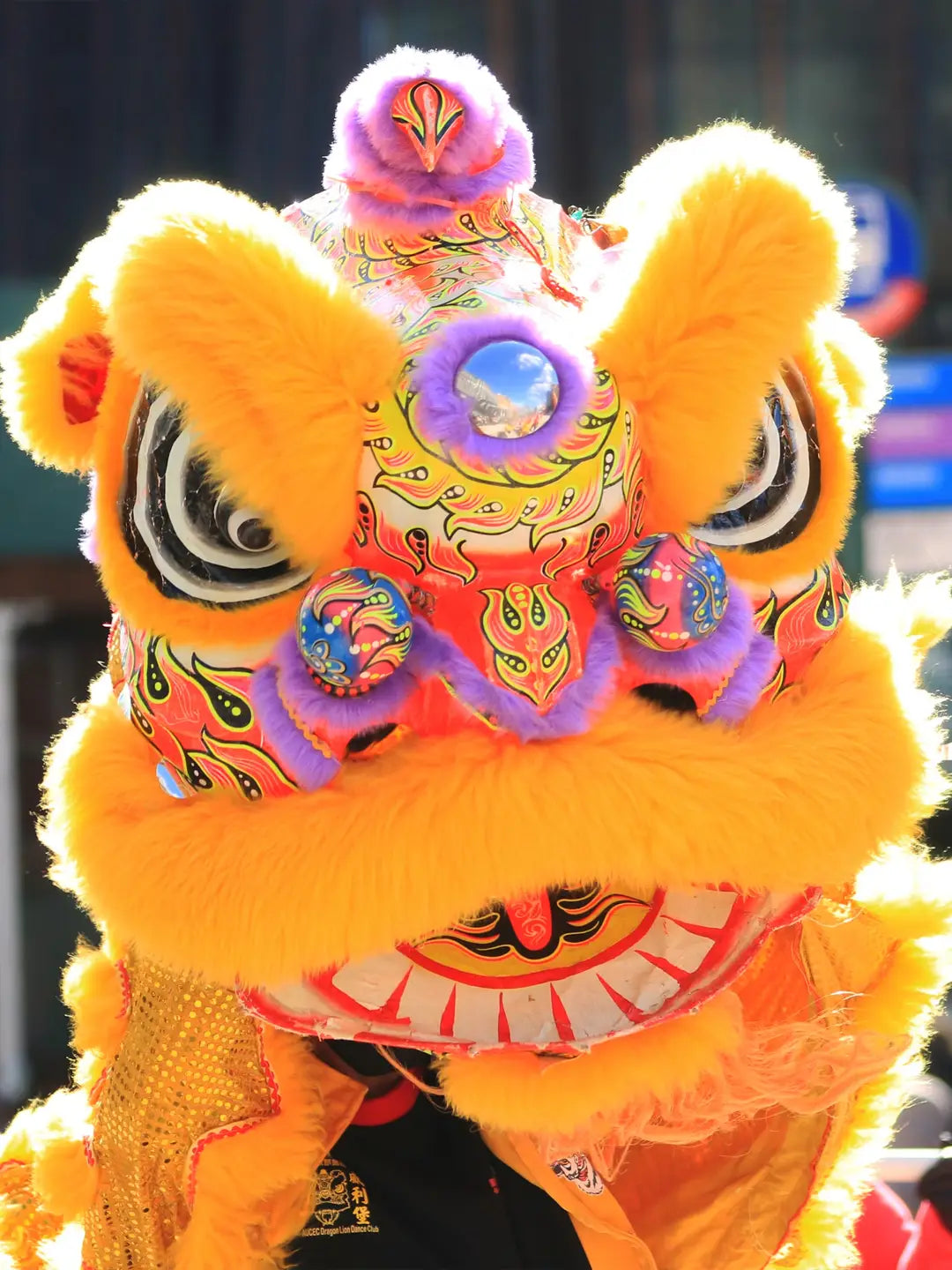 4-Day Guangzhou, Qingyuan & Foshan Spring Blossoms Discovery Tour