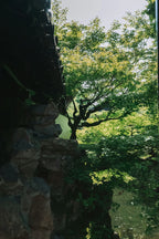 7-Day Shanghai, Hangzhou & Suzhou Cultural Discovery Tour