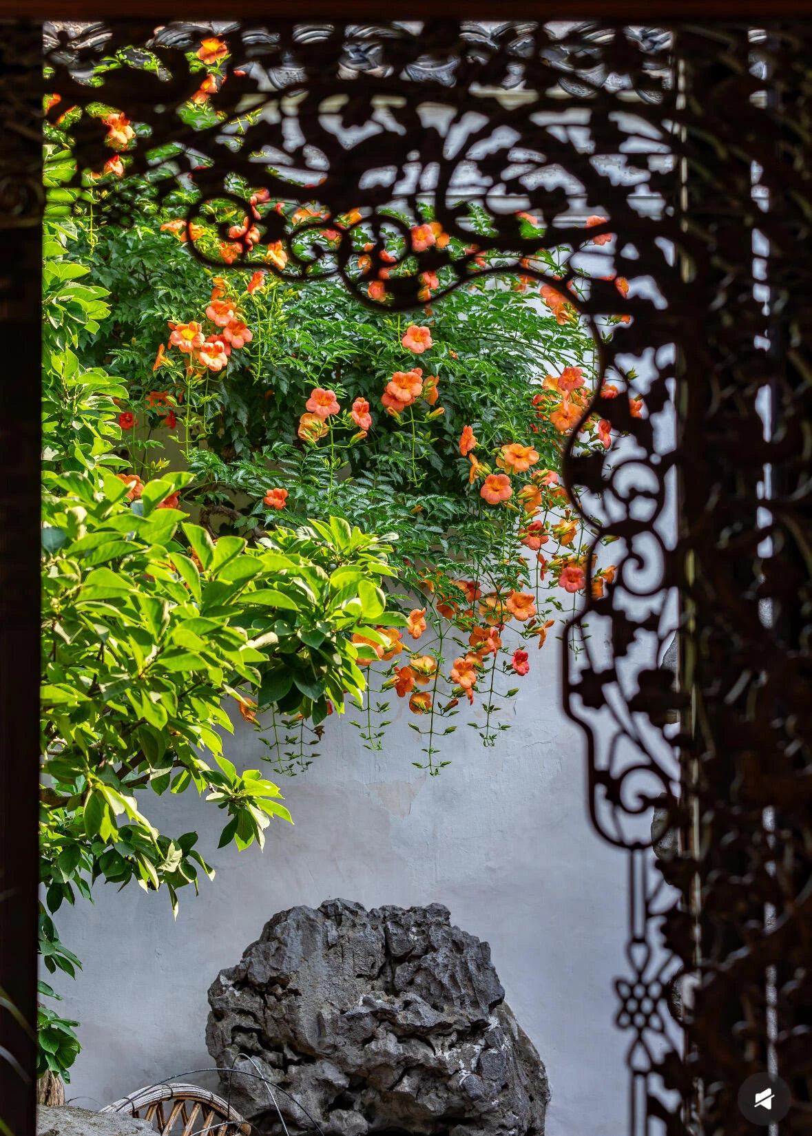 7-Day Shanghai, Hangzhou & Suzhou Cultural Discovery Tour