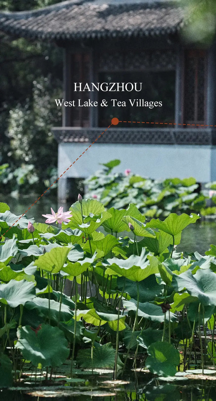 travel to hangzhou