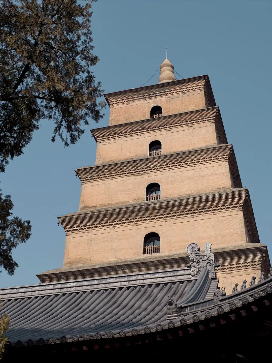 8-Day Private China Tour: Beijing, Xi'an & Shanghai