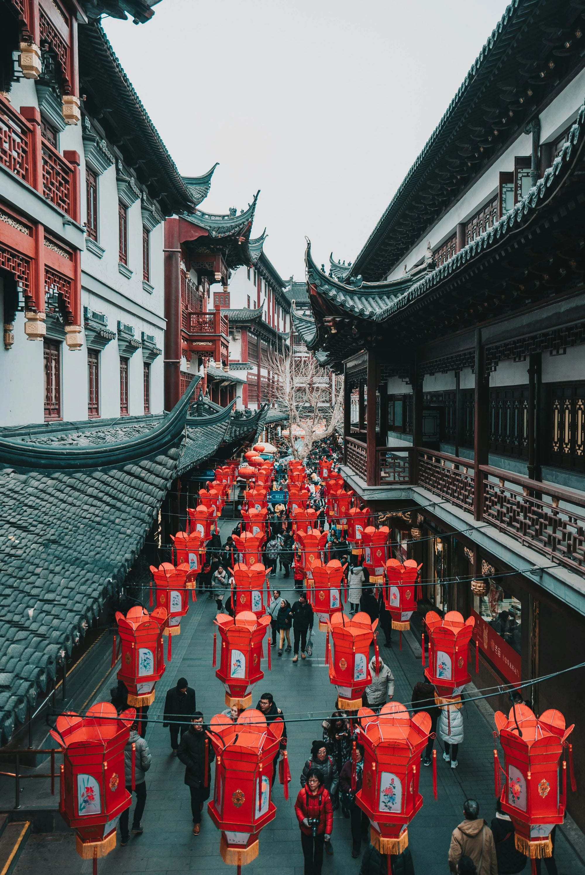 7-Day Shanghai, Hangzhou & Suzhou Cultural Discovery Tour
